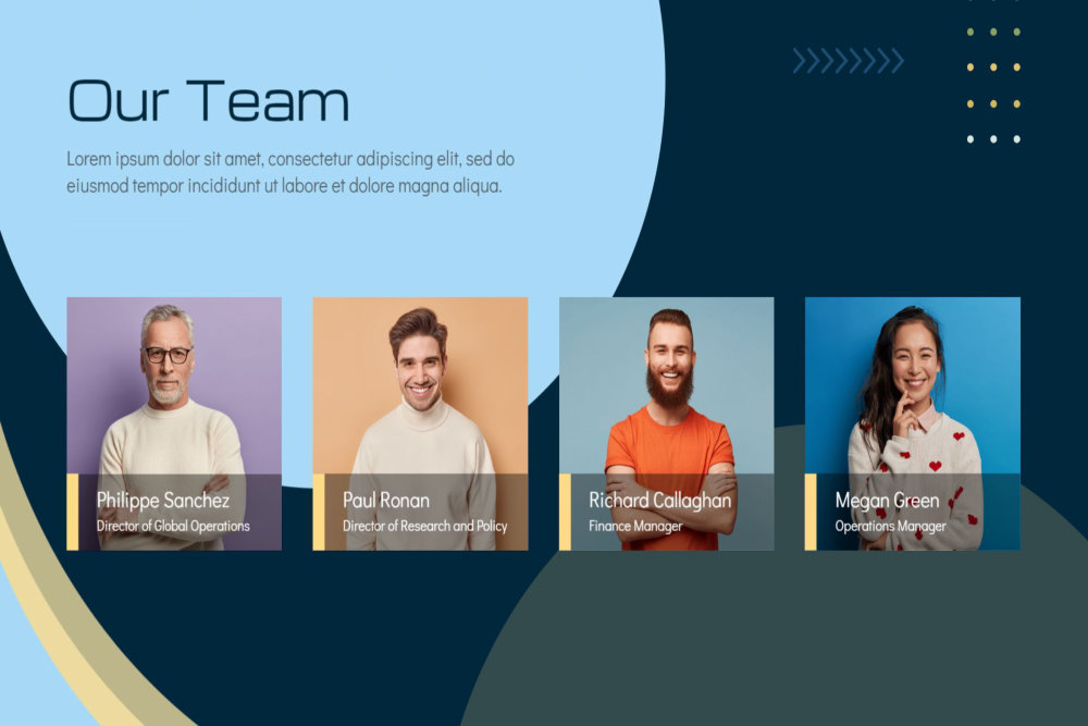 Our Team